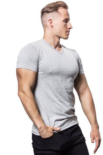 Sam Black V-Neck T-Shirt Gray Jerone