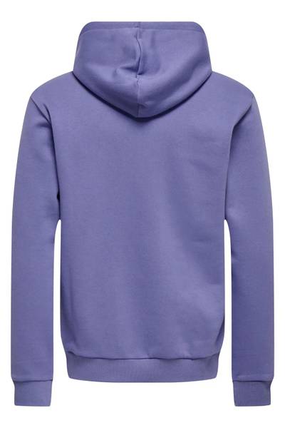 Basic Ceres Hoodie Purple Only & Sons